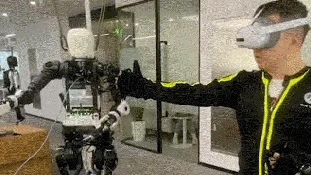Bumblebee: Multimodal AI, Embodied